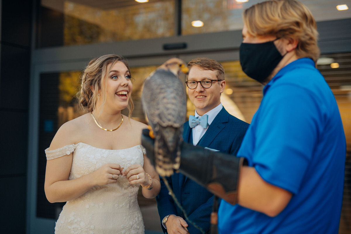 couple on their wedding day looking at bird being held by an animal handler