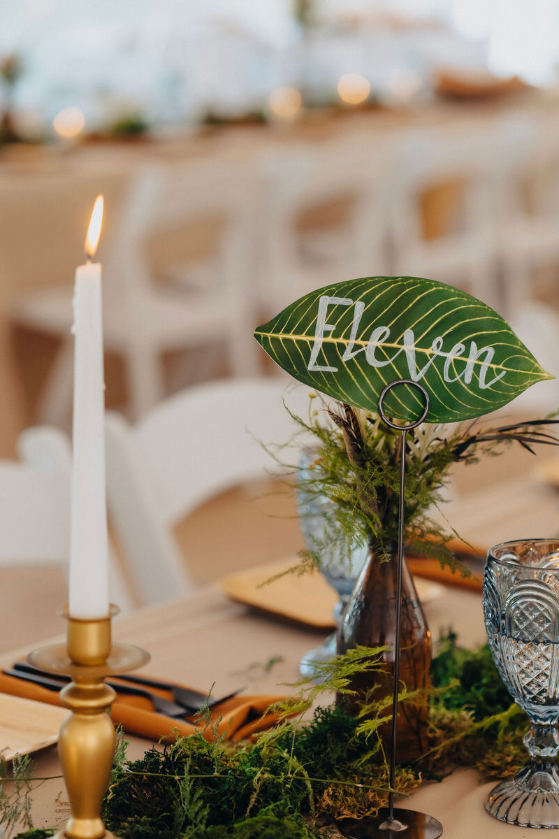 table number written on a leaf
