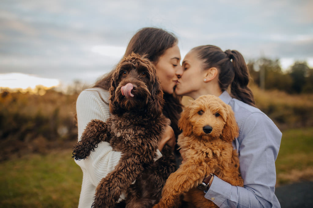 A couple kissing while they both hold small dogs. 