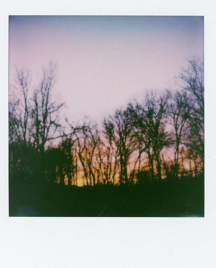 Polaroid photograph capturing a serene sunset with silhouetted trees against a pastel-colored sky, evoking a sense of peace