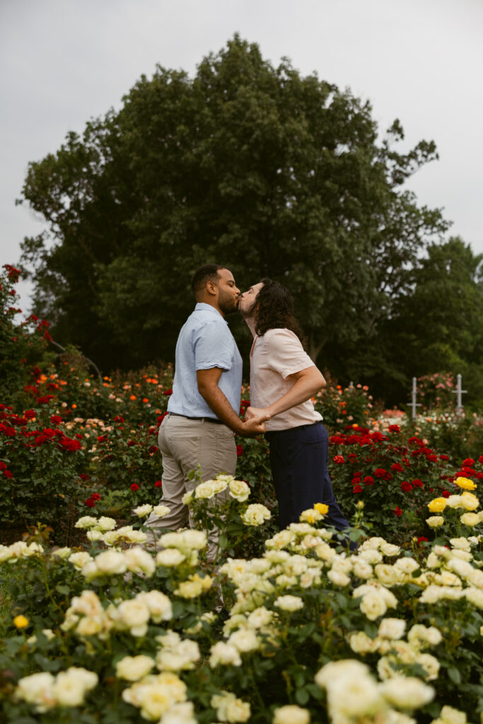 Two men hold hands and kiss, with red roses behind them and beautiful, bright yellow flowers in front of them